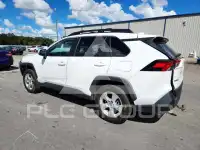 2020 Toyota RAV4 фото