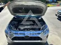 2020 Toyota RAV4 photo