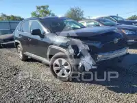 2020 Toyota RAV4 photo