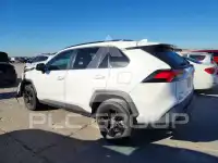 2020 Toyota RAV4 фото