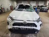 2020 Toyota RAV4 photo
