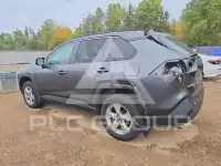 2020 Toyota RAV4 фото