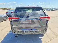 2020 Toyota RAV4 photo
