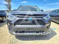 2020 Toyota RAV4 фото