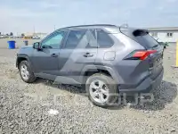 2020 Toyota RAV4 photo
