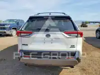 2020 Toyota RAV4 фото