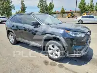 2020 Toyota RAV4 photo