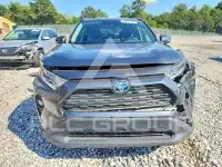 2020 Toyota RAV4 фото