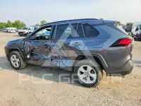 2020 Toyota RAV4 photo