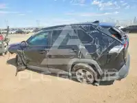 2020 Toyota RAV4 photo