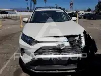 2020 Toyota RAV4 фото