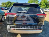 2020 Toyota RAV4 photo