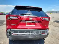 2020 Toyota RAV4 фото
