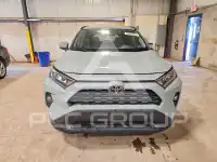 2020 Toyota RAV4 photo
