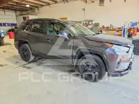 2020 Toyota RAV4 photo