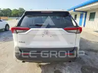 2020 Toyota RAV4 photo