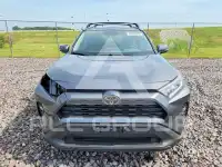 2020 Toyota RAV4 фото