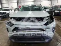 2020 Toyota RAV4 фото