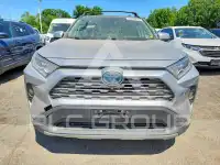 2020 Toyota RAV4 фото