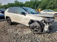 2020 Toyota RAV4 photo