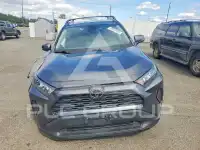 2020 Toyota RAV4 фото