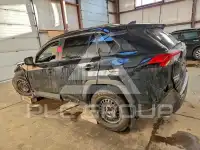 2020 Toyota RAV4 фото