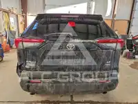 2020 Toyota RAV4 фото