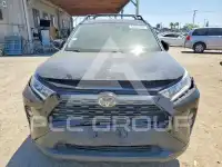 2020 Toyota RAV4 photo