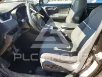 2020 Toyota RAV4 фото