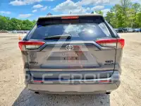 2020 Toyota RAV4 photo