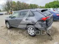 2020 Toyota RAV4 photo