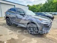 2020 Toyota RAV4 photo