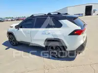 2020 Toyota RAV4 photo