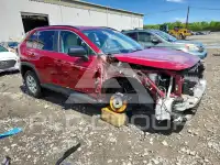 2020 Toyota RAV4 фото