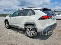 2020 Toyota RAV4 фото