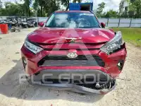2020 Toyota RAV4 photo