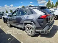 2020 Toyota RAV4 фото