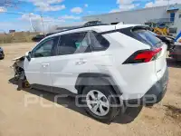 2020 Toyota RAV4 фото