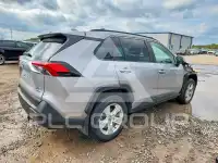 2020 Toyota RAV4 photo
