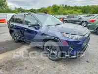 2020 Toyota RAV4 фото
