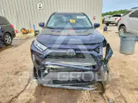 2020 Toyota RAV4 photo