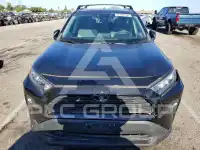 2020 Toyota RAV4 photo