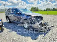 2020 Toyota RAV4 фото