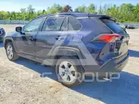 2020 Toyota RAV4 photo