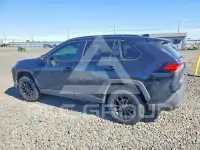 2020 Toyota RAV4 фото