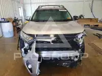 2020 Toyota RAV4 photo