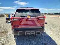 2020 Toyota RAV4 фото