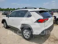 2020 Toyota RAV4 photo