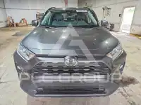 2020 Toyota RAV4 photo