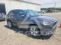 2020 Toyota RAV4 photo